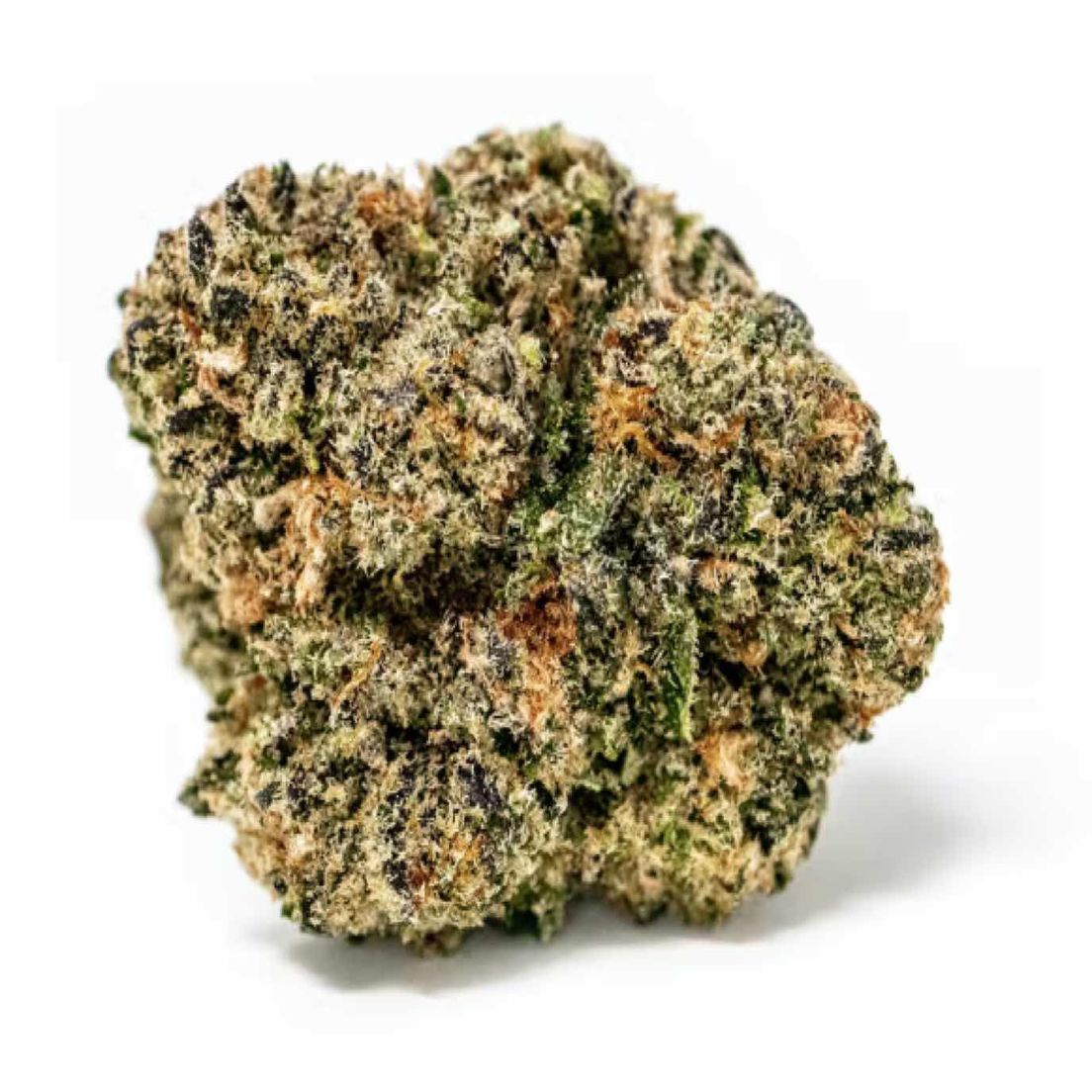 mass alternative care dispensary