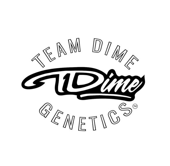 Team Dime Greenhouse Flower Triple Scoop Gelato 3.5g