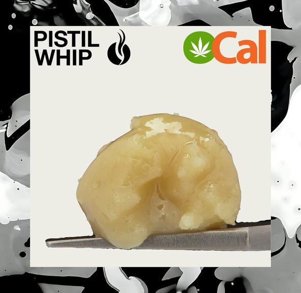 PISTIL WHIP - Super Sour Mints Live Rosin Badder 1g