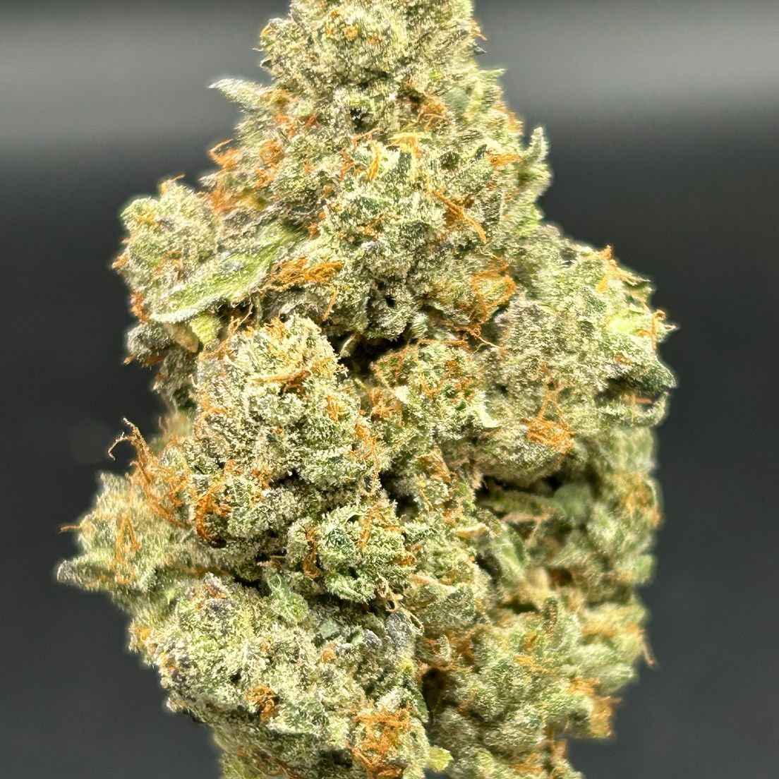 Blue Cherries - Tier 4