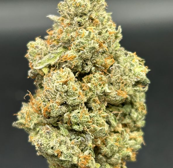 Blue Cherries - Tier 4