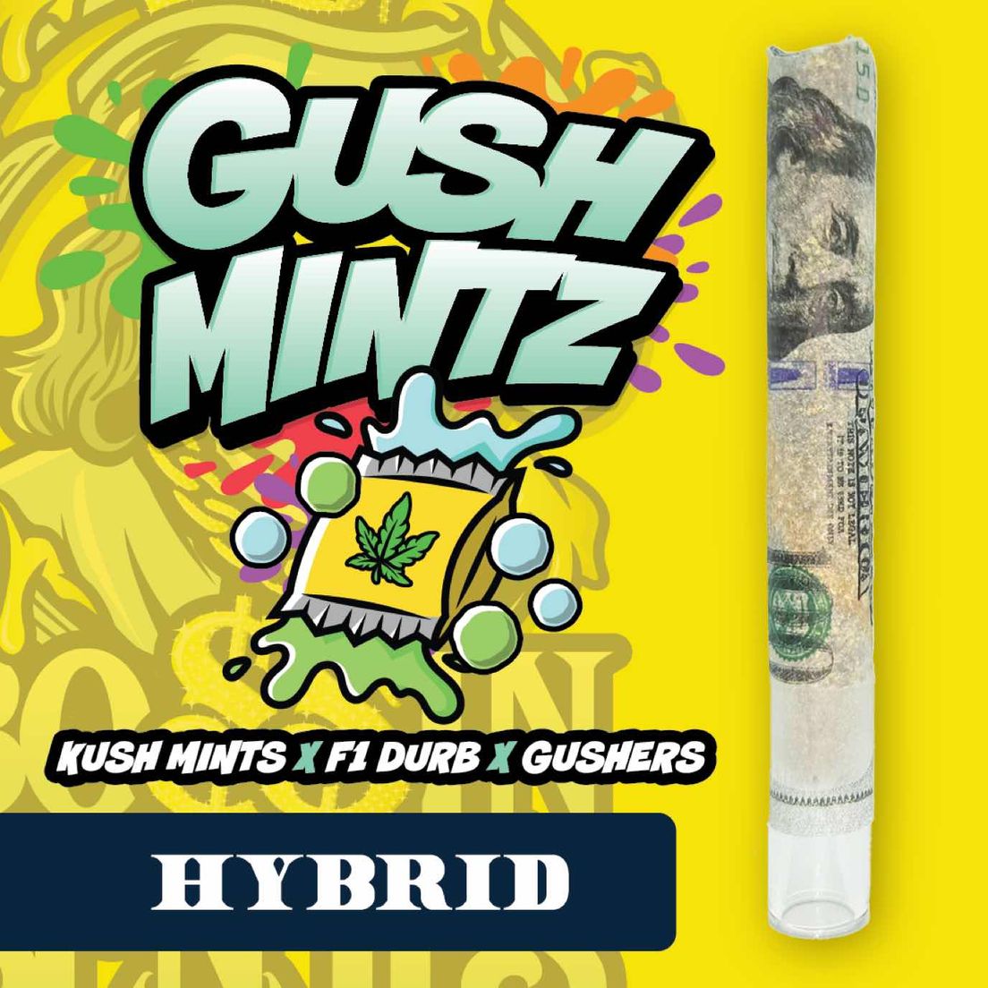 RR|Bossin Benji|Gush Mintz