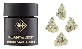 COTC- 1G SUPER SILVER HAZE