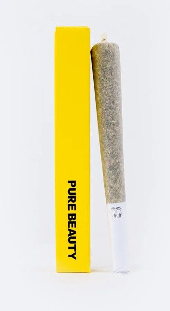Pure Beauty- French 75 single pre-roll 1g (S)