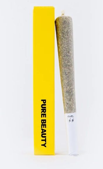 Pure Beauty- French 75 single pre-roll 1g (S)