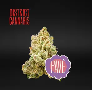 District Cannabis | Pavè - Flower | 3.5g | Sativa-Hybrid
