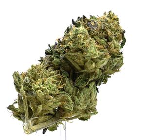 Animal Cookies (Greenhouse) | $70/oz