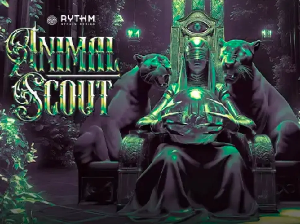 Animal Scout Big Dogs (Infused) 1g - Dogwalkers (sit)