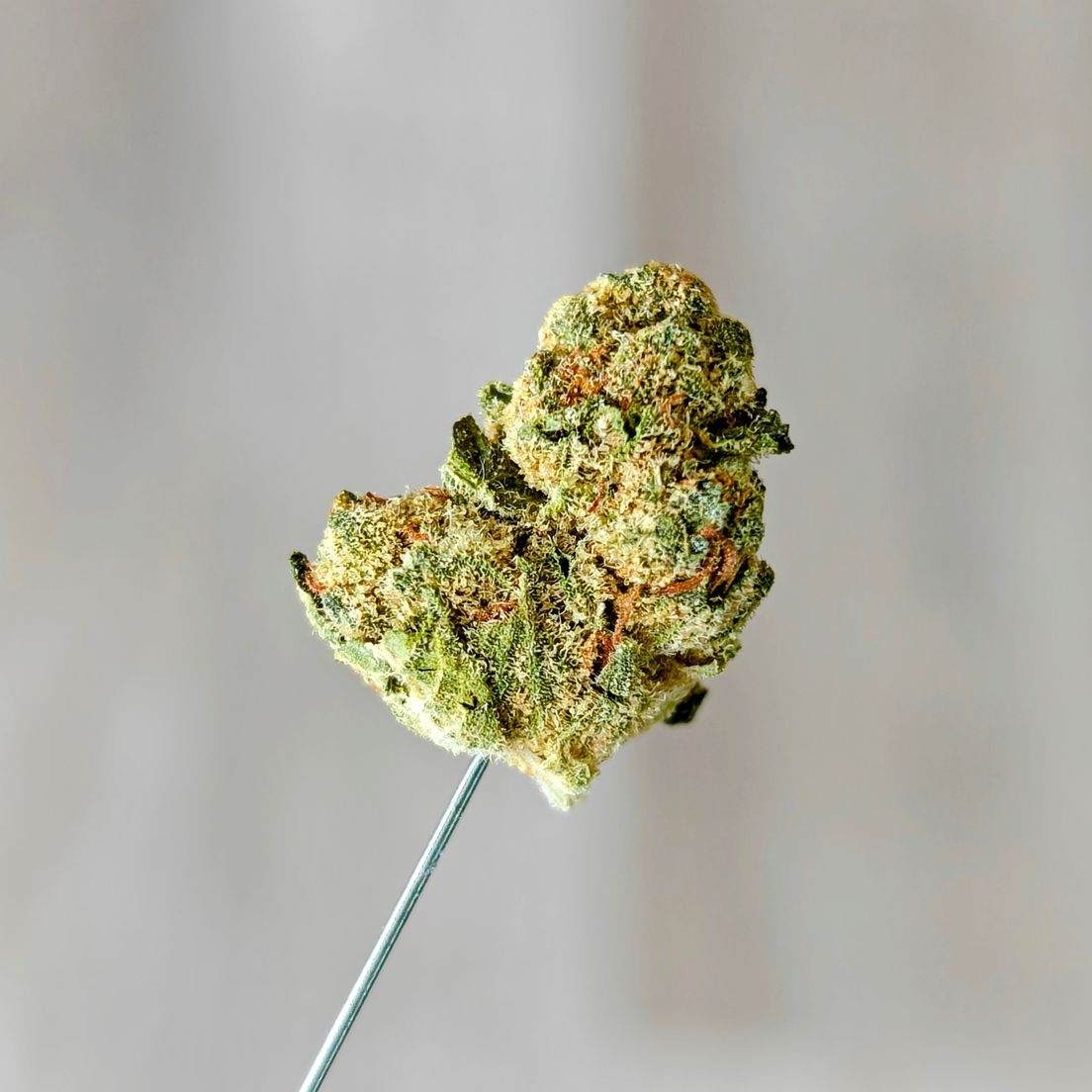 Triangle Kush