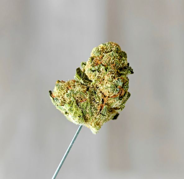 Triangle Kush