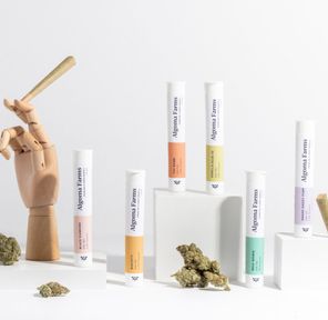 Algoma Farms 1.2g Infused Pre-Roll (Maui Wowie)