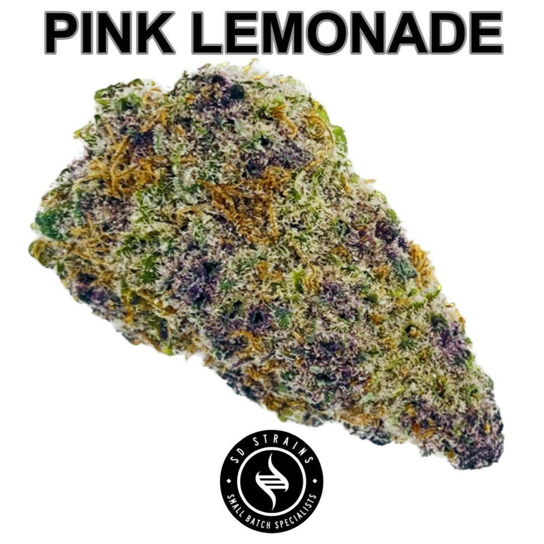 SD Strains | 3.5g Pink Lemonade |