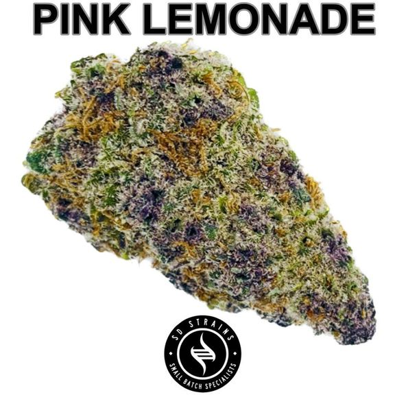 SD Strains | 3.5g Pink Lemonade |