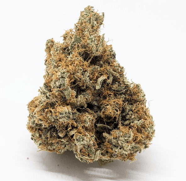 Blueberry Sundae | Hybrid | Indoor | Funk House Farm