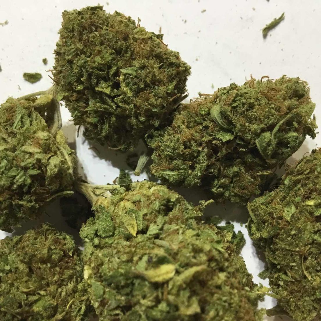 BLACK LIME RESERVE