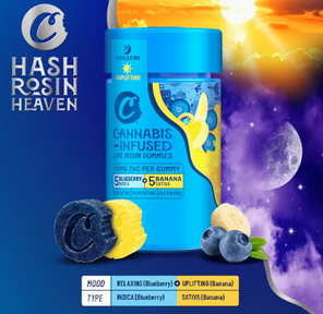 Cookies Live Rosin Gummies - Blueberry Banana (100mg)