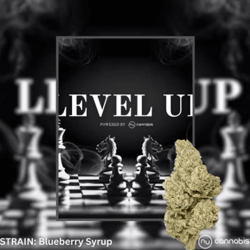 Level Up - Blueberry Syrup