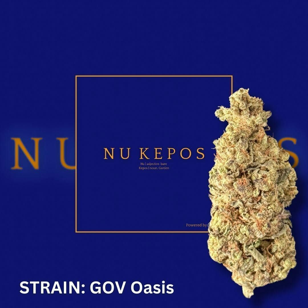 Kepos - Government Oasis 28g