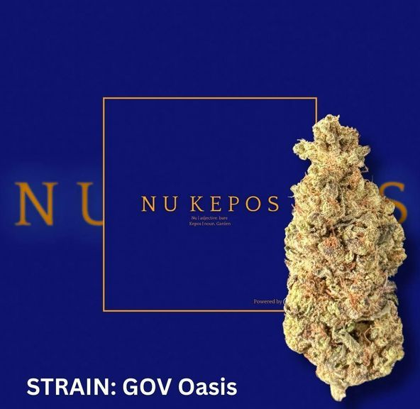Kepos - Government Oasis 28g