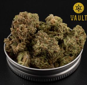 AA | FRUIT ROLL UP ⭐️ NEW ARRIVAL ⭐️