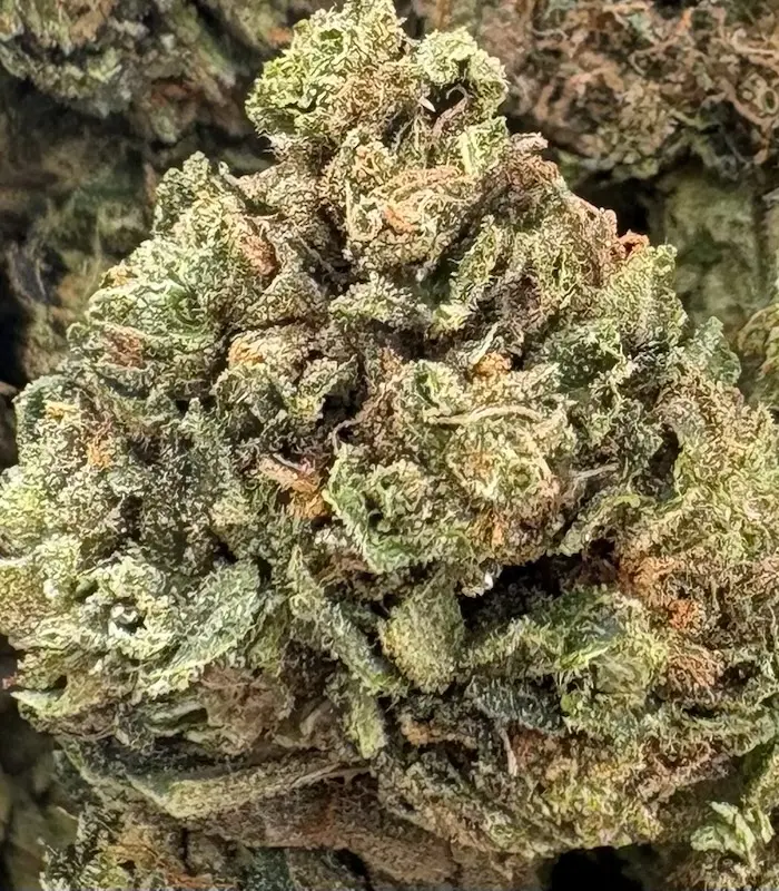 14G - BLUEBERRY OCTANE (AA+)