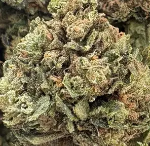 14G - BLUEBERRY OCTANE (AA+)
