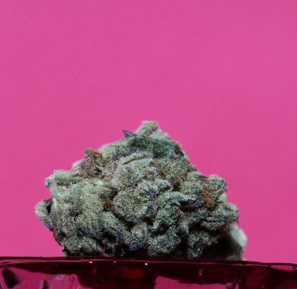 District Cannabis | Kush Mints - Flower | 3.5g | Hybrid