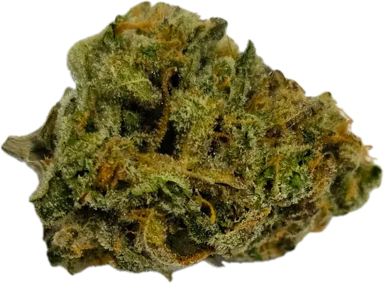 Grateful Dead OG #1