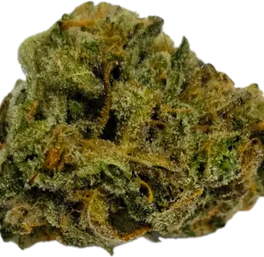 Grateful Dead OG #1