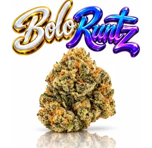BOLO RUNTZ - 14G | PREMIUM FLOWER | INDICA
