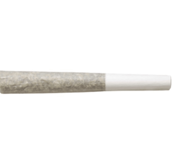 0.5g Bubble Hash & Live Rosin Infused House Roulette Pre Roll Joint - Limited Edition