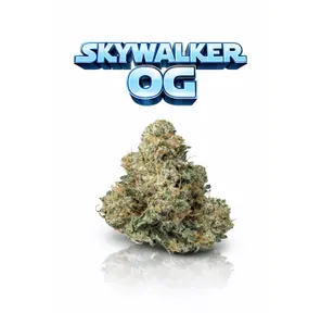 SKYWALKER OG - 14G | INDOOR FLOWER