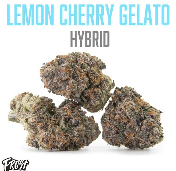 Frost - Lemon Cherry Gelato Flower 3.5g