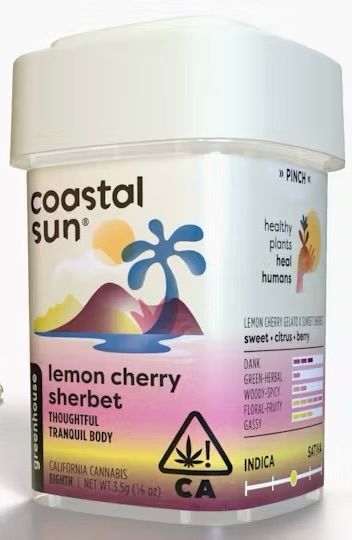 Coastal Sun- Lemon Cherry Sherbet 10pk Prerolls (H)