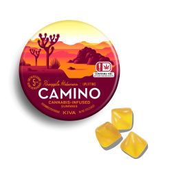 CAMINO PINEAPPLE HABANERO GUMMIES 100MG