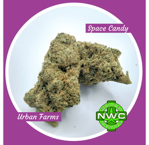 2338 - Space Candy Buds By: Urban Farms
