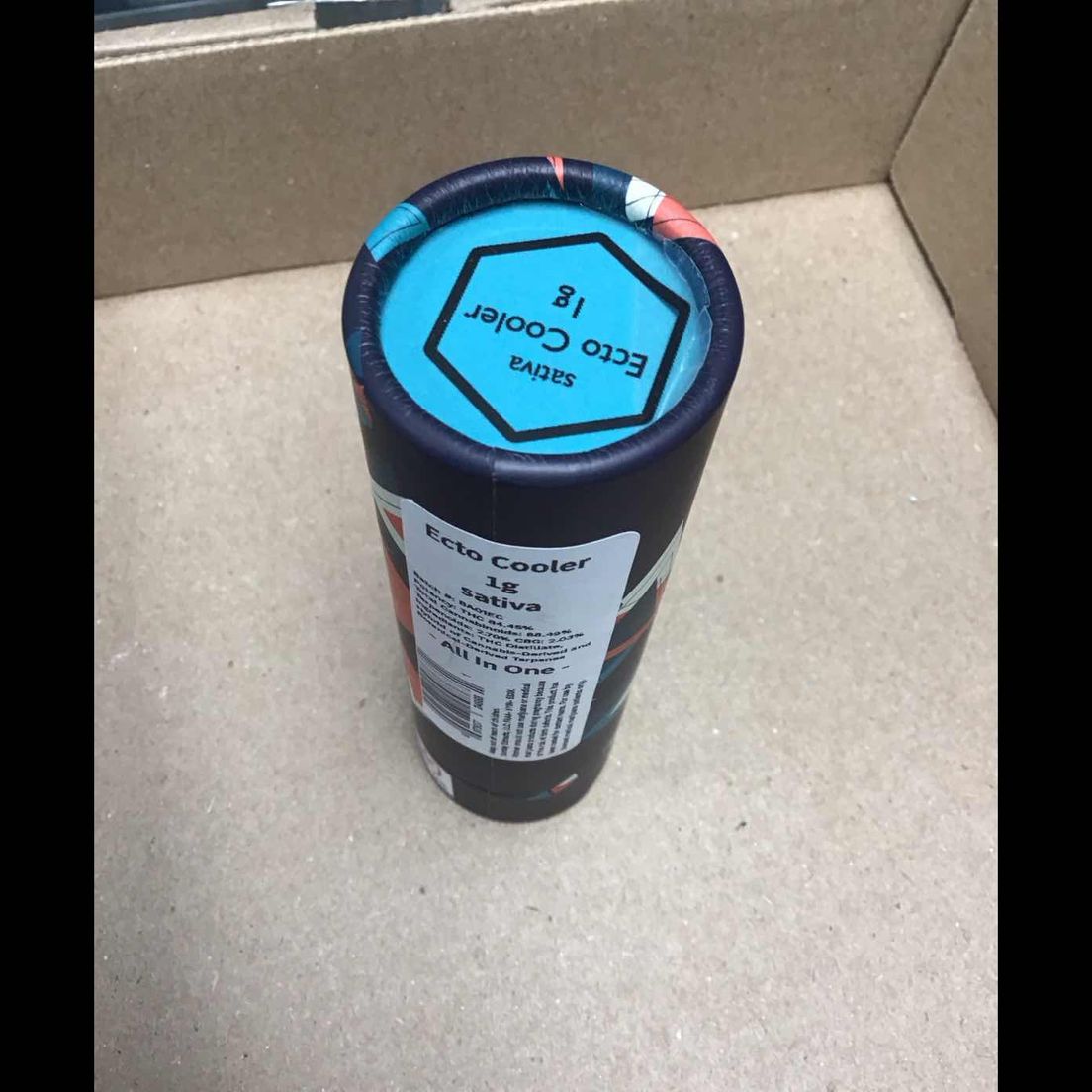 Ecto Cooler Sunday Extracts All In One Disposable 1g