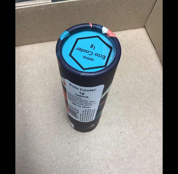 Ecto Cooler Sunday Extracts All In One Disposable 1g