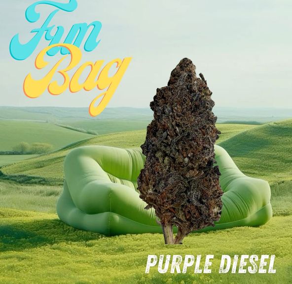Fun Bags - Purple Diesel 28g