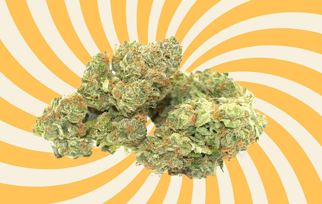 DREAM QUEEN by Purple Rose THC 30.21 % 14 Grams