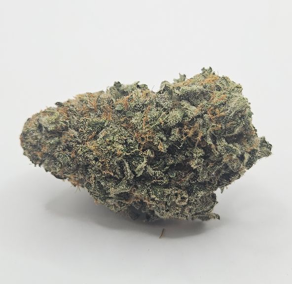 *Indoor - Gush Cake - 23% - IDH
