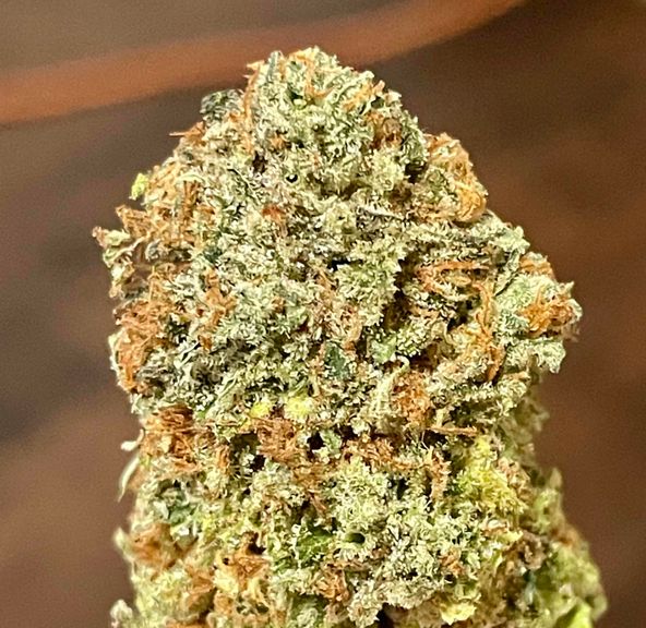 Lemon Thai x Limepop