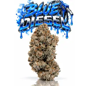 BLUE DIESEL - 14G | INDOOR FLOWER | SATIVA