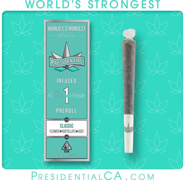 [Presidential] Infused Preroll - 1g - Classic (I)