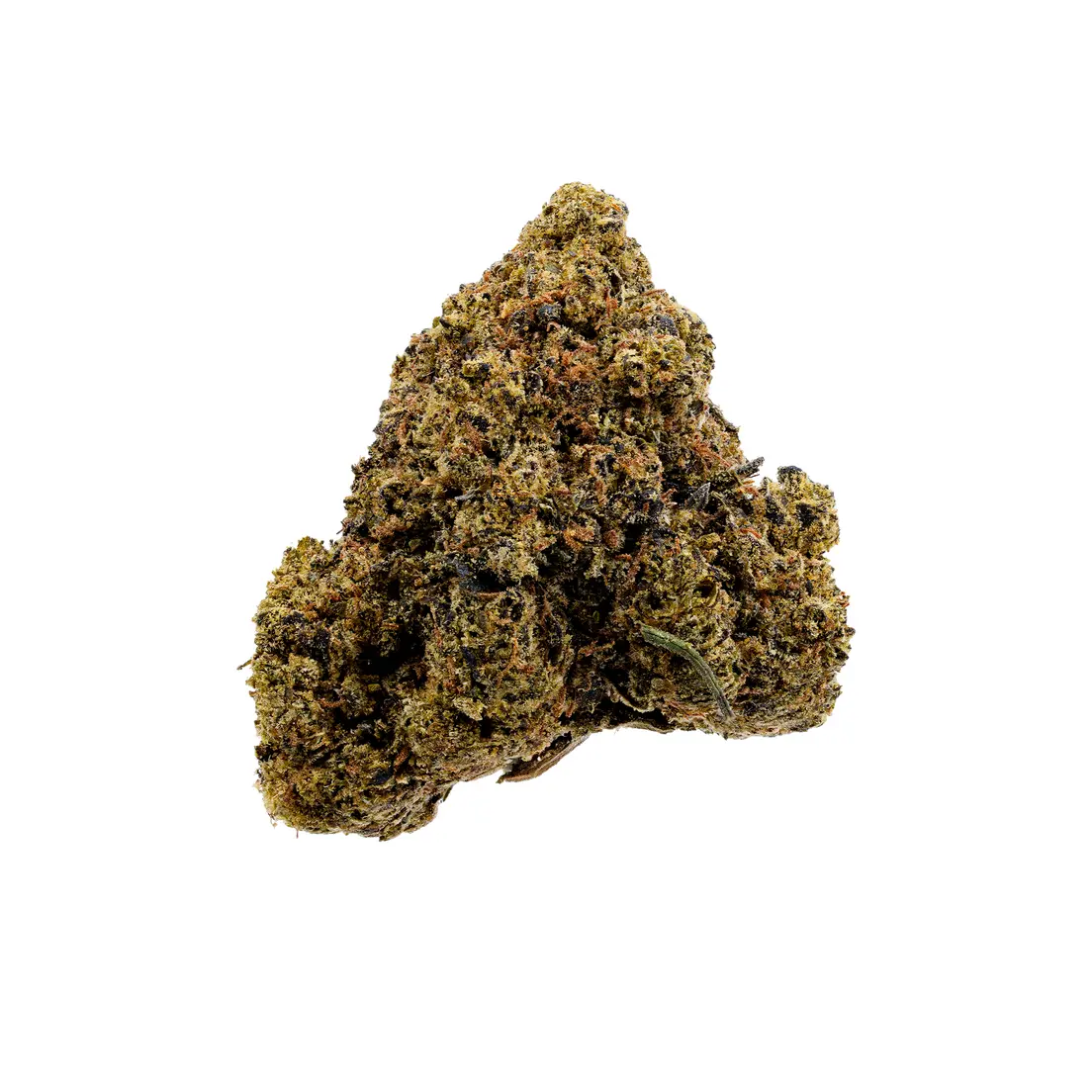 Blueberry Muffin (Premium)