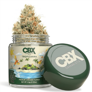 B. Cannabiotix 3.5g Flower - Quality 10/10 - Tropicanna