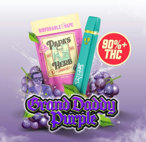 Grand Daddy Purple All In One Vape