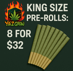 ??? King Size Pre-Roll: Blue Razz (Indica) 8 PACK