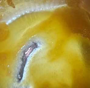 Ace Ultra - Dab - Watermelon Mint - 1G