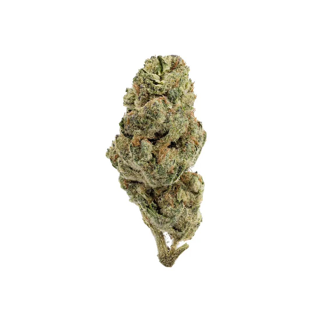 Black Cherry Gushers (Premium)